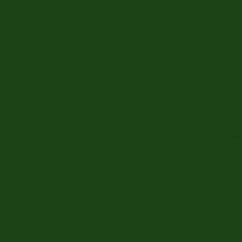 Vert foncé JGSDF mat > peinture acrylique TAMIYA XF73