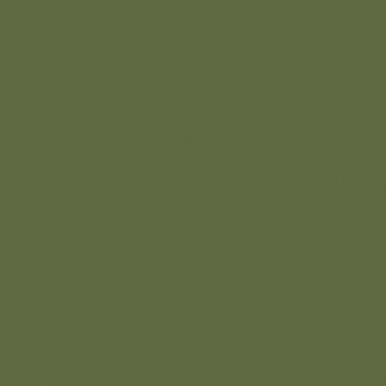 Vert clair camouflage WW2 > peinture acrylique pour aérographe PRINCE AUGUST AIR 006