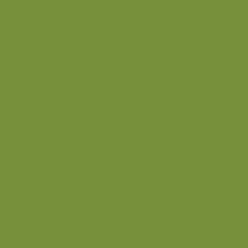 Vert olive doré > peinture acrylique PRINCE AUGUST 79 (Vallejo 857)
