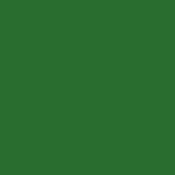 Vert olive moyen > peinture acrylique PRINCE AUGUST 81 (Vallejo 850)
