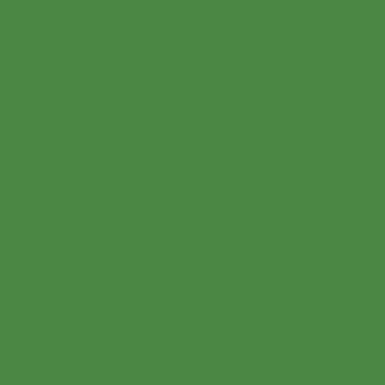 Vert olive foncé > peinture acrylique PRINCE AUGUST 83 (Vallejo 968)